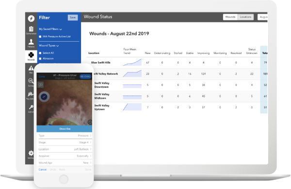 Netsmart Wound Care Management