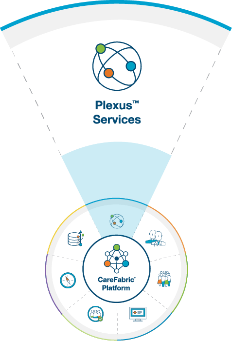 Plexus Services CareFabric Solutions and Services