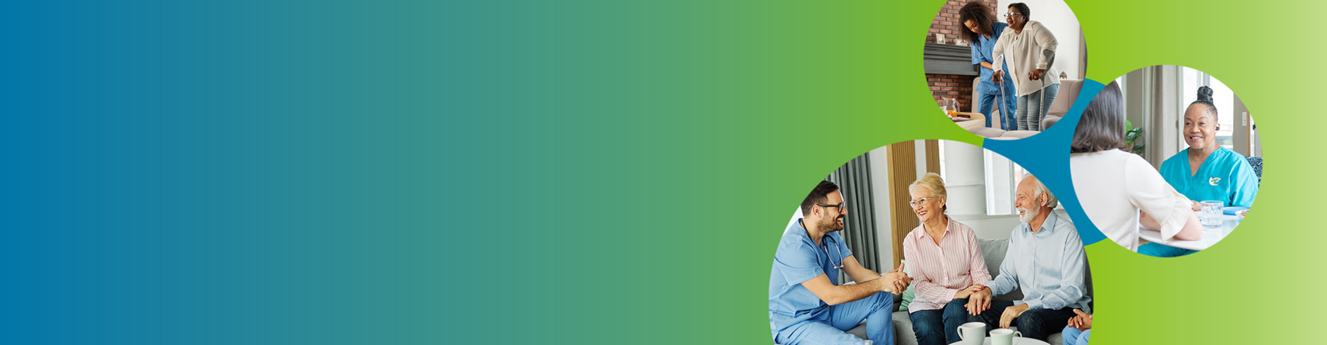 Netsmart Post-Acute Care Software